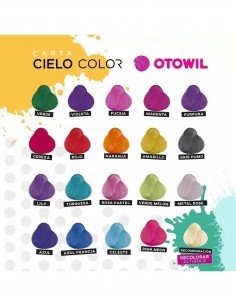 OTOWIL TINTURA FANTASÍA EN... 2