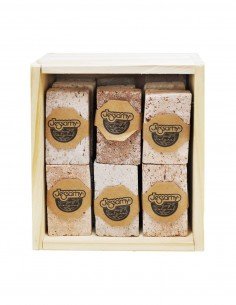 JESSAMY PIEDRA POMEZ P507 2