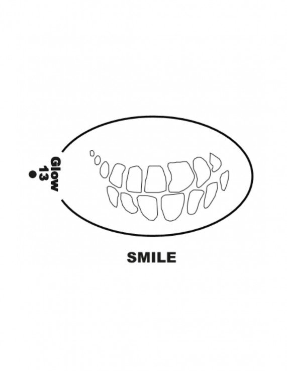 STE-13 SMILE