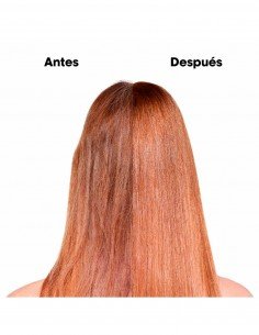 L'Oréal Absolut Repair |... 2