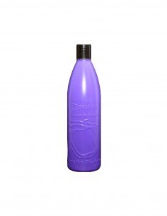 EVANS ALISADO MANZANA FORTE 1L