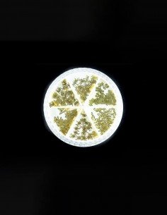 PARIS NIGHT Decoración... 2