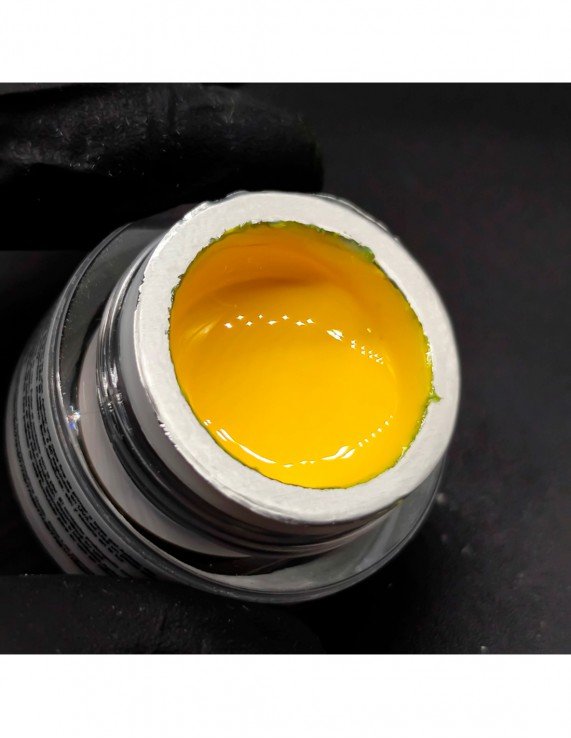ANGELA BRESCIANO Gel Paint 5g